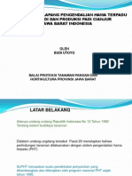 Model SLPHT PDF