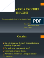 Promovarea Propriei Imagini