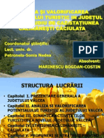 Prezentare Powerpoint Valcea