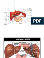 Ikterik Dan Hepatitis