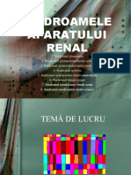 Sindroamele Aparatului Renal