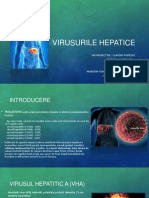 Virusurile Hepatice