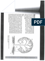 Morfologia Da Vegetação PDF