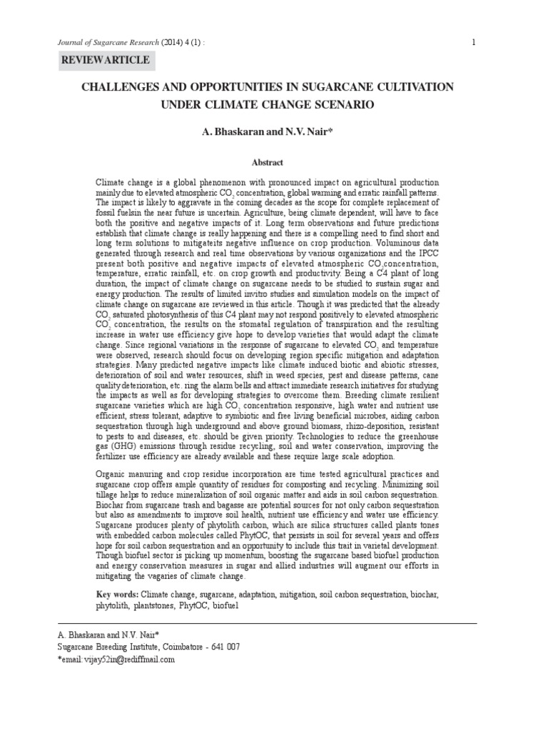 Challenges and Opportunities in Sugarcane Cultivation Under Climate