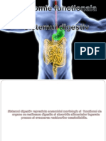 Anatomie Functionala Sistemul Digestiv Gheoldus Si Ghita