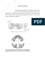 Abses Parafaringeal