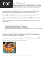 Download Kulkas Tanpa Listrik by kharis003 SN251935989 doc pdf