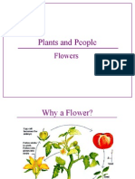 Plants and People: Flowers