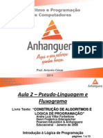 Aula 2 - Pseudo-Linguagem e Fluxogramas