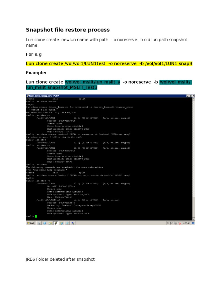 Snapshot Data Restore | PDF