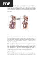 Download Hidrokel Hydroceles Adalah Penumpukan Cairan Yang Berlebihan by prince-billie-1615 SN25194535 doc pdf