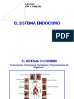 presentacionsistemaendocrino (1)ADF