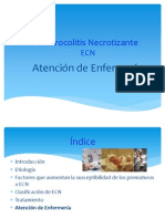 EXPOSICION ENTERECOLITIS