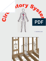 circulatory system notes 2 0