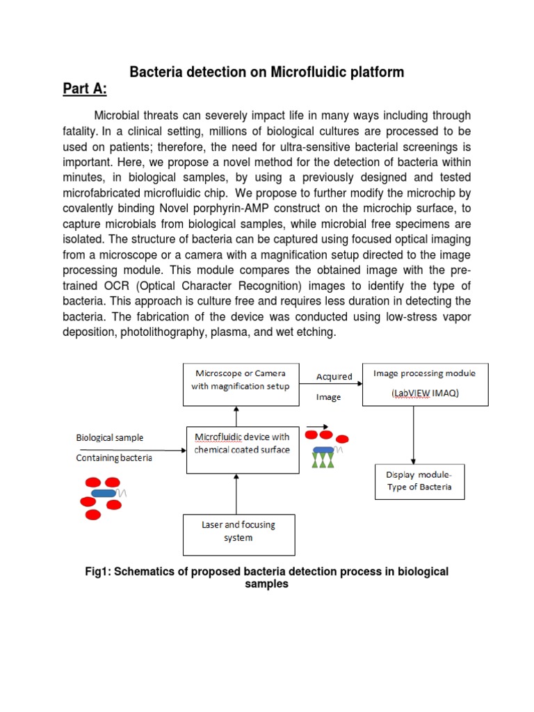 Rapid Bacteria Detection via Microfluidics | PDF | Microfluidics ...