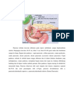 Anatomi Fisio Embrio Pancreas