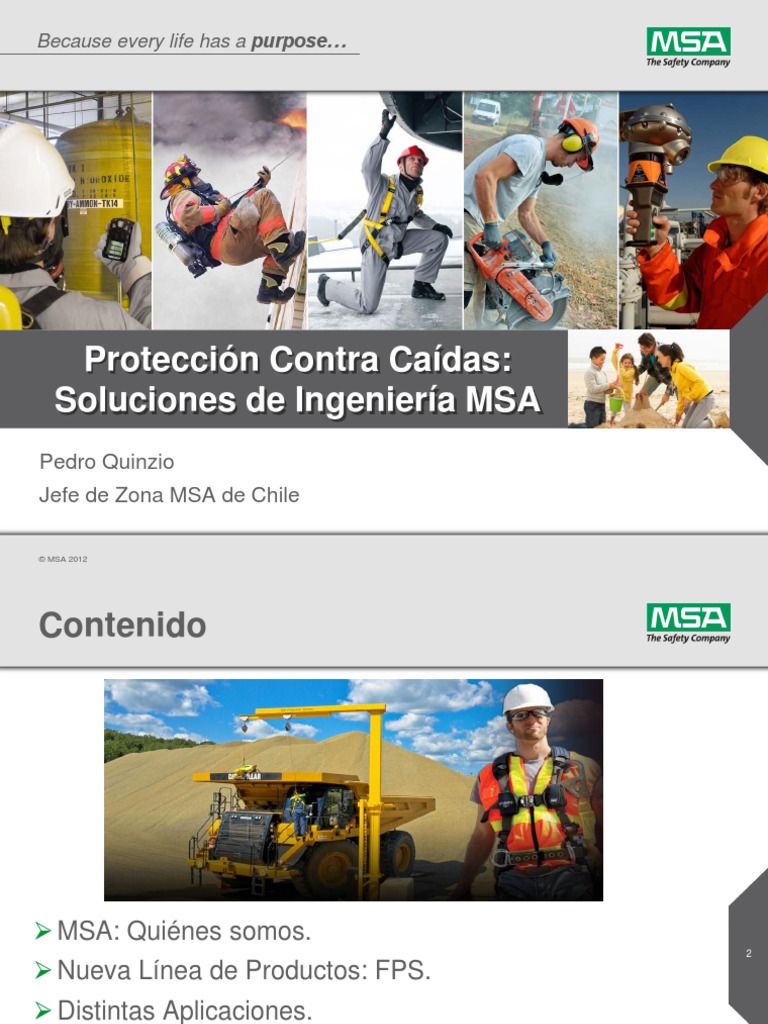 Fall Protection System FPS | PDF