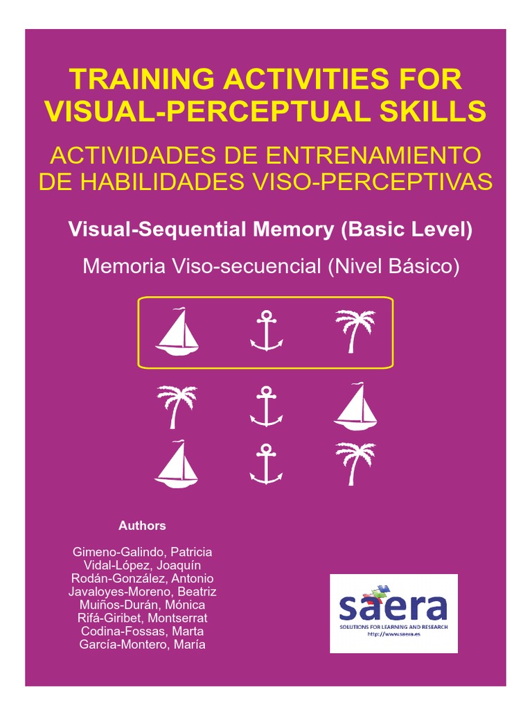 Percepción Visual | PDF | Working Memory | Long Term Memory