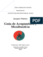 Guiade Acupuntura y Moxi