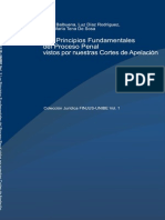 3930784 Principios Fundamentales Del Proceso Penal