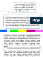 Diferensiasi Trofoblas