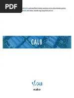 CALB Presentation