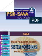 Sistem Koordinasi