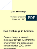 Gas Exchange O2-CO2