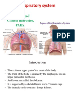 Respiratory System - Anatomy