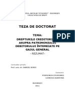 Teza Doctorat Drept