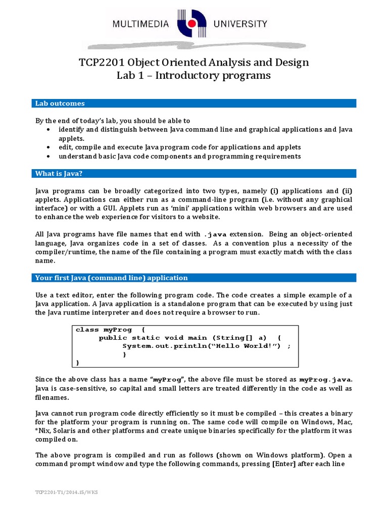 Java Programming Basics: Apps and Applets | PDF