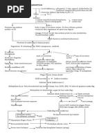 Patogenesis Tifoid, Malaria, AIDS (1)