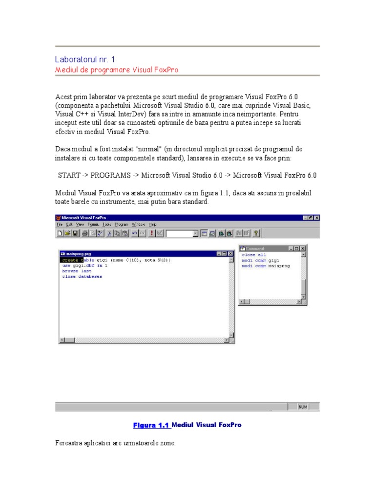 Laboratorul NR 1 - Mediul de Programare Visual FoxPro | PDF