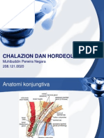 Chalazion Dan Hordeolum