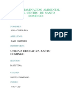 (392854343) Monografia de La Contaminacion Ambiental en El Centro de Santo Domingo