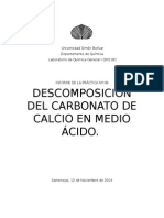 Descomposición Del Carbonato de Calcio en Medio Ácido Informe 8