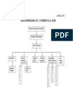 Organigrama S.C. Compan S.A. Iasi: Anexa Nr.1