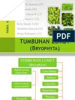 TUMBUHAN LUMUT (Bryophyta)