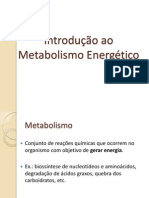Metabolismo Enérgético UNIMONTES 2014