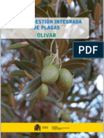 Guia Cultiu de L'olivera - Guia Cultivo Olivar