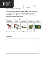 Actividades 4Los Animales Vertebrados