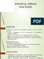 APARATUL URINAR.pdf