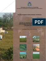 Dinamica_Faixa_Centro_Tocantins.pdf