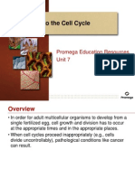Introduction To The Cell Cycle