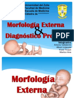 Morfologia Externa y Diagnostico Prenatal