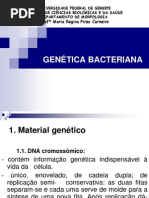 BACTERIAN AGENÉTICA 