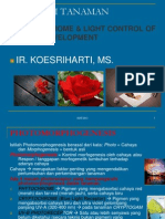 Materi 9-Phytochrome-Light Control PDF