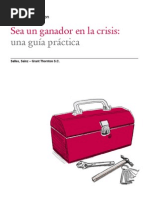 Guía Para Hacer Dinero en Crisis