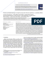 Protein and Lipid Damage in Maple Syrup Urine Disease Patients: L-Carnitine Effect