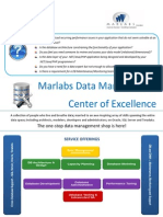 Marlabs_Data_Management_Practice_Brochure_0.pdf